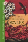 Image for Stories from Wales