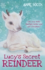 Image for Lucy&#39;s secret reindeer