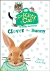Image for Dr KittyCat is ready to rescue: Clover the Bunny