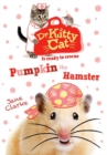Image for Pumpkin the hamster