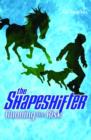 Image for Running the Risk: the Shapeshifter 2