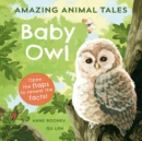 Image for Baby owl