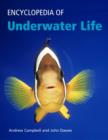 Image for Encyclopedia of underwater life  : aquatic invertebrates and fishes