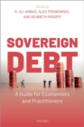 Image for Sovereign debt  : a guide for economists and practitioners