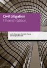 Image for Civil litigation