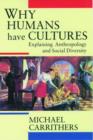 Image for Why humans have cultures  : explaining anthropology and social diversity