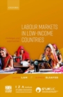 Image for Labour markets in low-income countries  : challenges and opportunities