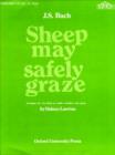 Image for Sheep May Safely Graze
