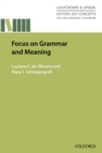 Image for Focus on grammar and meaning.