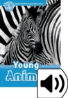 Image for Oxford Read and Discover: Level 1: Young Animals Audio Pack