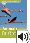 Image for Oxford Read and Discover: Level 3: Animals in the Air Audio Pack