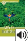 Image for Oxford Read and Discover: Level 3: Life in Rainforests Audio Pack