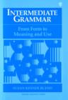 Image for Intermediate Grammar : From Form to Meaning and Use : Student Book