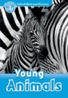 Image for Oxford Read and Discover: Level 1: Young Animals