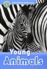 Image for Oxford Read and Discover: Level 1: Young Animals Audio CD Pack