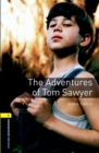 The adventures of Tom Sawyer - Twain, Mark