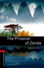 Image for Oxford Bookworms Library: Level 3:: The Prisoner of Zenda