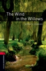 Image for The wind in the willows