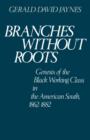 Image for Branches without Roots