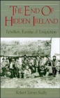 Image for The End of Hidden Ireland : Rebellion, Famine and Emigration