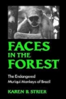 Image for Faces in the Forest : The Endangered Muriqui Monkeys of Brazil