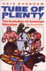 Image for Tube of Plenty : The Evolution of American Television