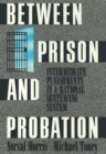 Image for Between Prison and Probation : Intermediate Punishments in a Rational Sentencing System