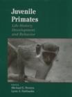 Image for Juvenile Primates : Life History, Development, and Behavior