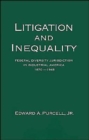 Image for Litigation and Inequality