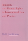 Image for Impunity and Human Rights in International Law and Practice