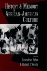 Image for History and Memory in African-American Culture