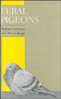 Image for Feral Pigeons