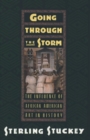 Image for Going Through the Storm : The Influence of African American Art in History