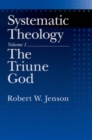 Image for Systematic theologyVol. 1: The Triune God