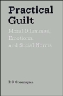 Image for Practical Guilt : Moral Dilemmas, Emotions, and Social Norms