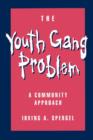 Image for The Youth Gang Problem : A Community Approach