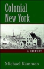 Image for Colonial New York  : a history