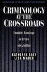 Image for Criminology at the Crossroads
