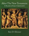Image for After the New Testament  : a reader in early Christianity