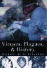 Image for Viruses, Plagues and History