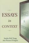 Image for Essays in Context