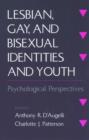 Image for Lesbian, gay, and bisexual identities and youth  : psychological perspectives