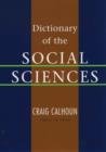 Image for Dictionary of the Social Sciences