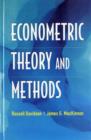 Image for Econometric theory and methods