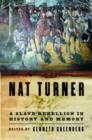 Image for Nat Turner  : a slave rebellion in history and memory
