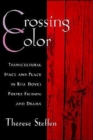 Image for Crossing color  : transcultural space and place in Rita Dove&#39;s poetry, fiction and drama