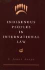 Image for Indigenous Peoples in International Law
