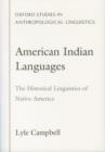 Image for American Indian Languages