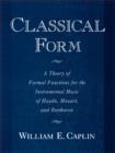 Image for Classical form  : a theory of formal functions for the instrumental music of Haydn, Mozart, and Beethoven
