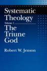 Image for Systematic theologyVol. 1: The Triune God